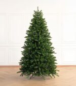 Sapin de Noël Fraser Fir – Image 2