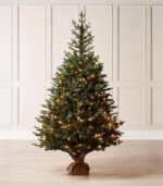 Sapin de Noël Norway