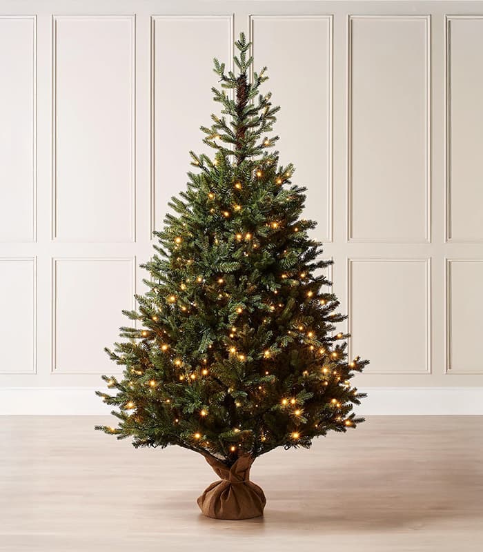 Sapin de Noël Norway